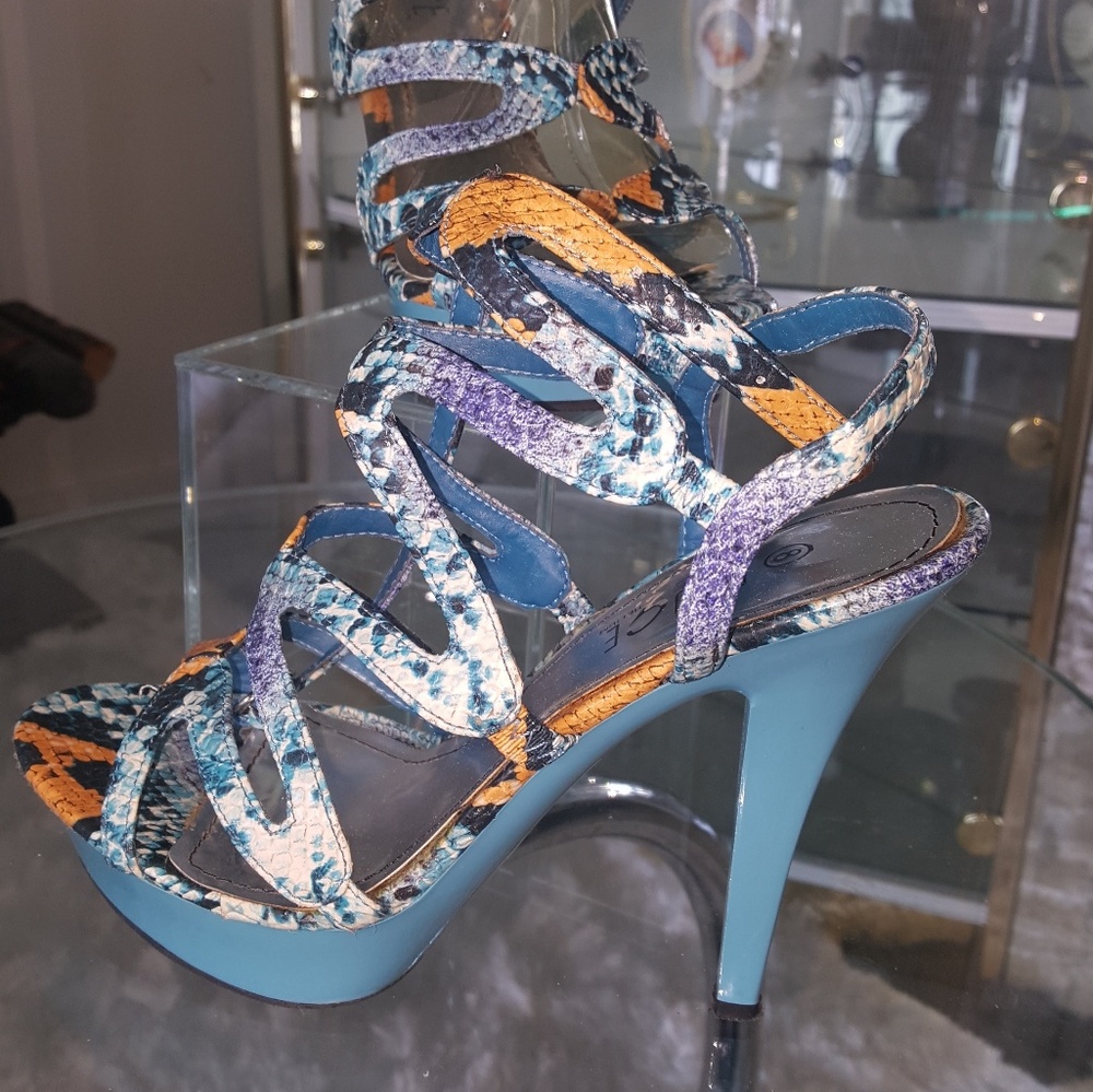 Blue Heeled Shoes